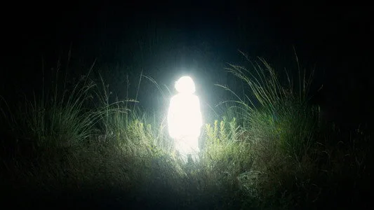 Chronicles of a Wandering Saint (2024)